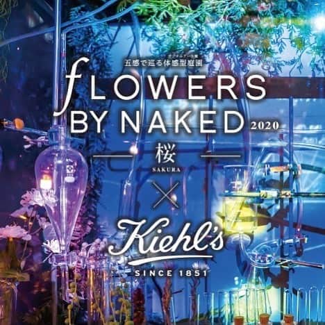キールズ Kiehl's Japanさんのインスタグラム写真 - (キールズ Kiehl's JapanInstagram)「日本橋のCOREDO室町で五感で巡るデジタルアート展「FLOWERS BY NAKED」 開催✨ 本イベントにキールズがコラボレーションします。キールズ製品に配合されている花などの植物由来成分をプロジェクションマッピングで展開。是非、五感でキールズを体験してみて下さいね✨ ただ今キールズストア限定で本イベントのチケットもプレゼント中です。 詳細はプロフィール欄のURLよりご確認ください。  @kiehlsjp #キールズ #アポセカリー #ニューヨーク発  #Kiehls #Skincare #NewYork」1月17日 14時50分 - kiehlsjp