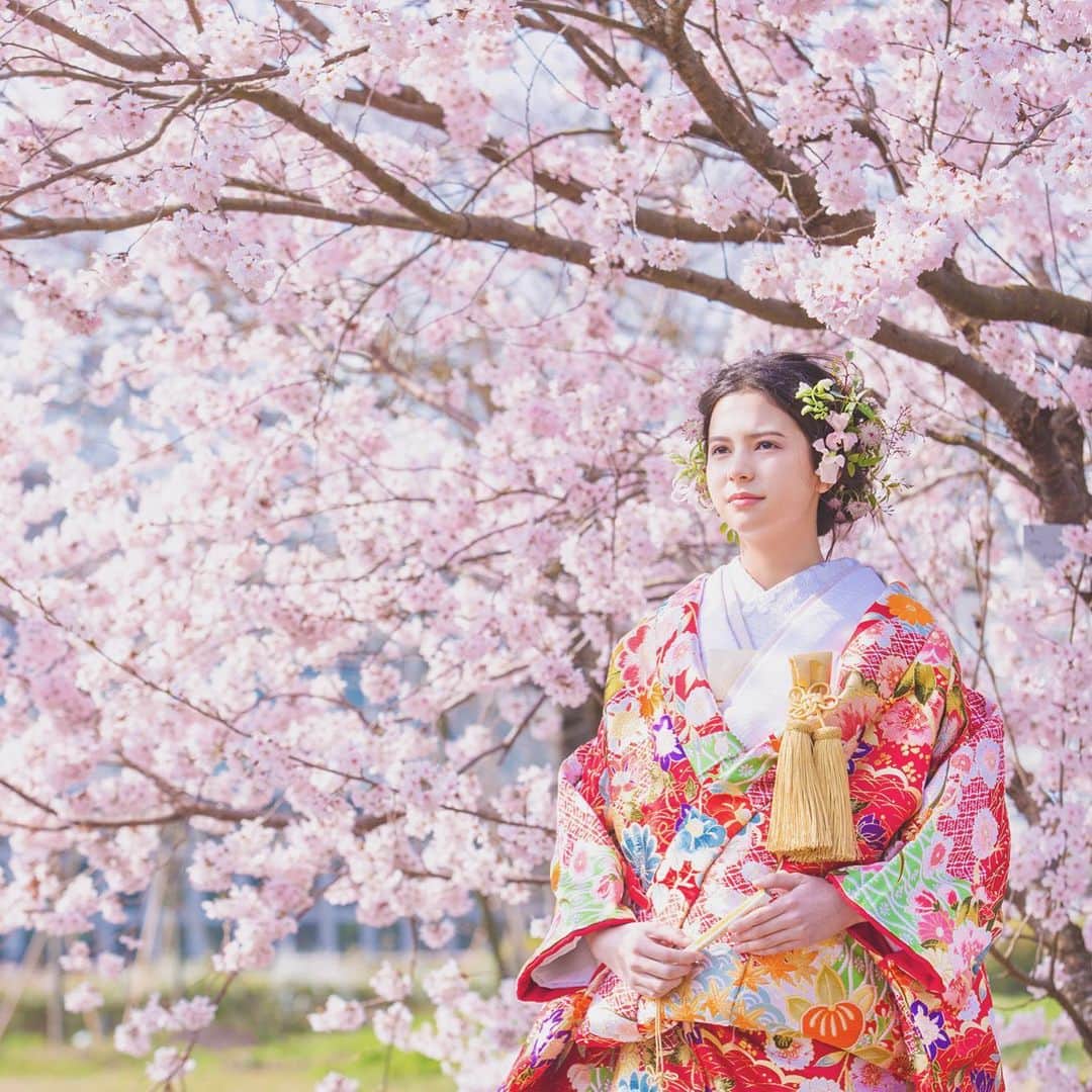 CLAIREのインスタグラム：「桜ロケーション撮影受付中🌸 ・ 桜ロケーションの前撮り撮影は開花期間も短く、ハイシーズンとなり混み合いますので、ご検討の方はお早めの来店ご相談をお勧めします。 ・ @clairebridalstudio」