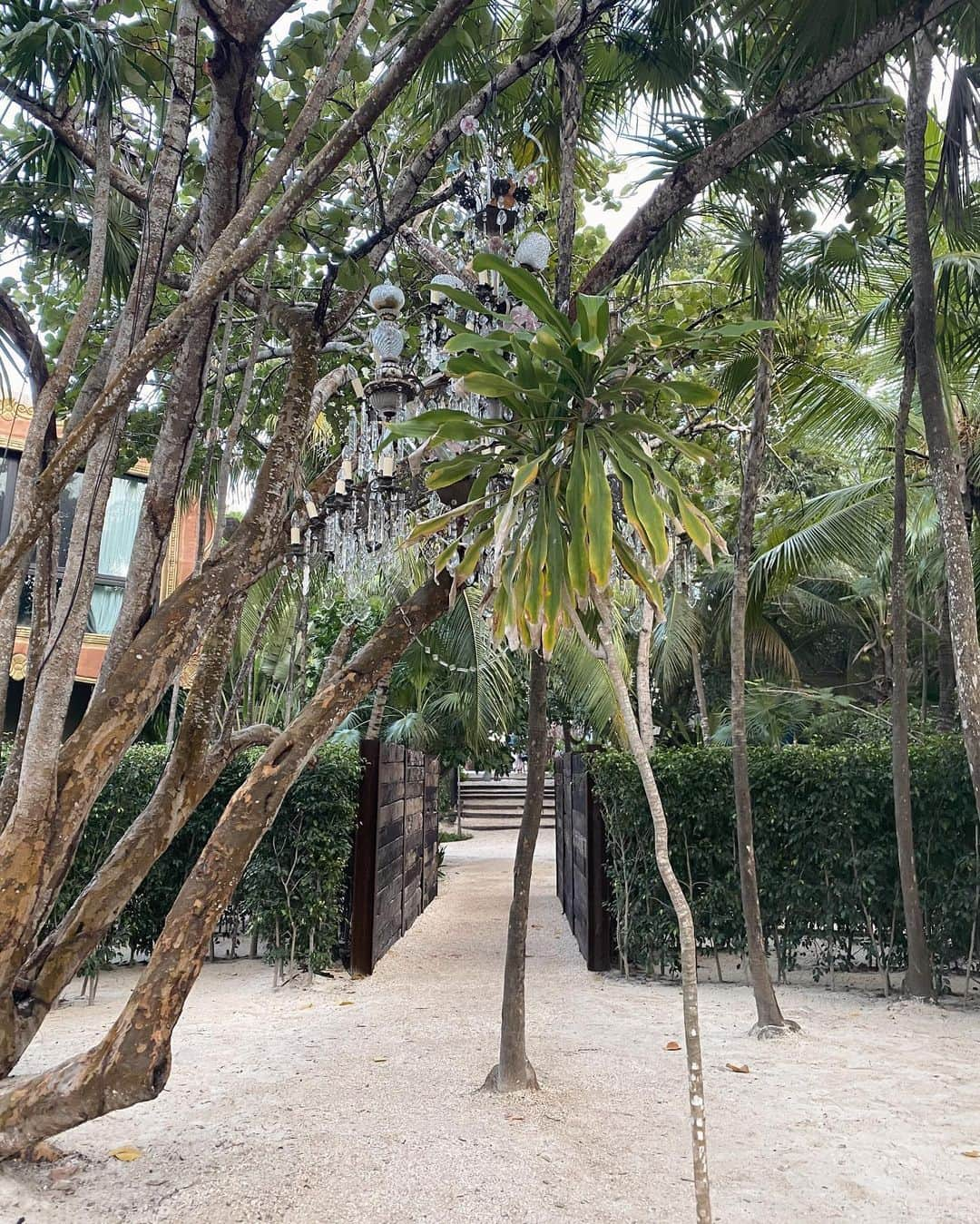 Silvia Carusoさんのインスタグラム写真 - (Silvia CarusoInstagram)「Wearing @__cinderellascloset__  this luxury hotel on the Caribbean coast of Mexico was once a mansion owned by Colombian drug kingpin Pablo Escobar. Casa Malca ❤️🇲🇽」1月17日 16時39分 - silvialicius