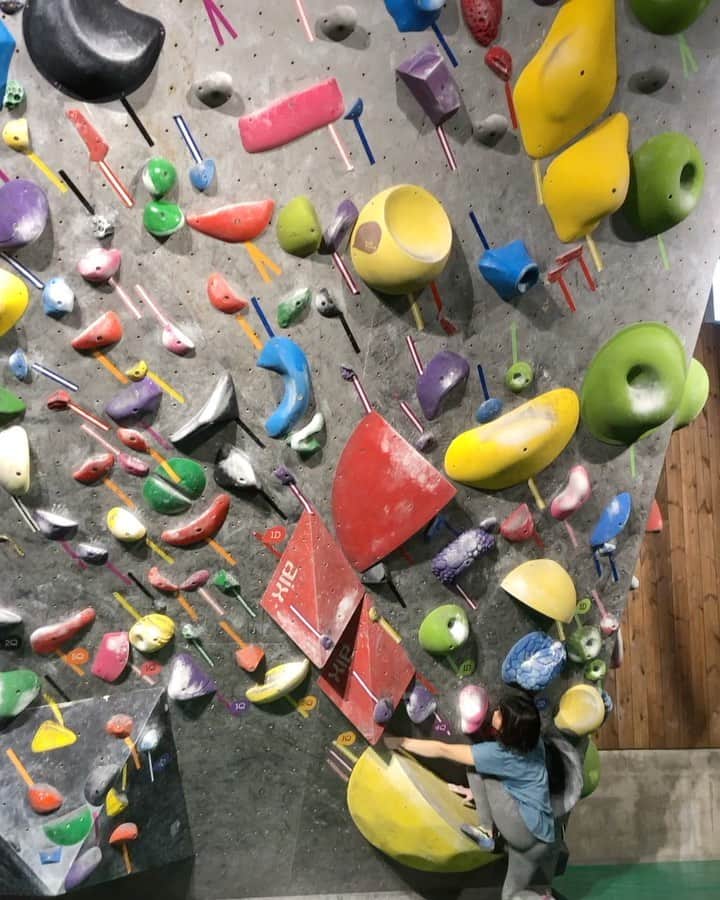 小武芽生のインスタグラム：「今日はカジ丸と 💪 @dogwood_climbing_chofu  思ったより登れてよかった😭  保持保持して引きまくって登るのも好きだけど、利かせたりバランスとったり色々なスタイルのボルダリング楽しい！ #climbing #ボルダリング #bouldering」