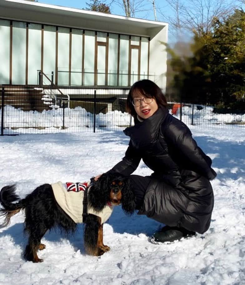 奈美悦子さんのインスタグラム写真 - (奈美悦子Instagram)「昨日は河口湖で雪遊び〜、チェックアウトのあとはアウトレットでお買い物！帰りの車ではま〜ったりのクッキー。楽しかったね！#河口湖#レジーナリゾート富士 #雪#雪遊び#御殿場アウトレット#富士山#綺麗#クッキー#愛犬#キャバリア#キャバリアキングチャールズスパニエル #ブラックタン」1月17日 17時15分 - nami.etsuko