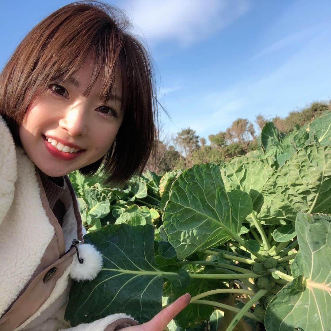 奈良岡希実子さんのインスタグラム写真 - (奈良岡希実子Instagram)「ロケ。寒かったー！ 芽キャベツ収穫するのなかなか大変でした😊」1月17日 17時54分 - naraoka_kimiko