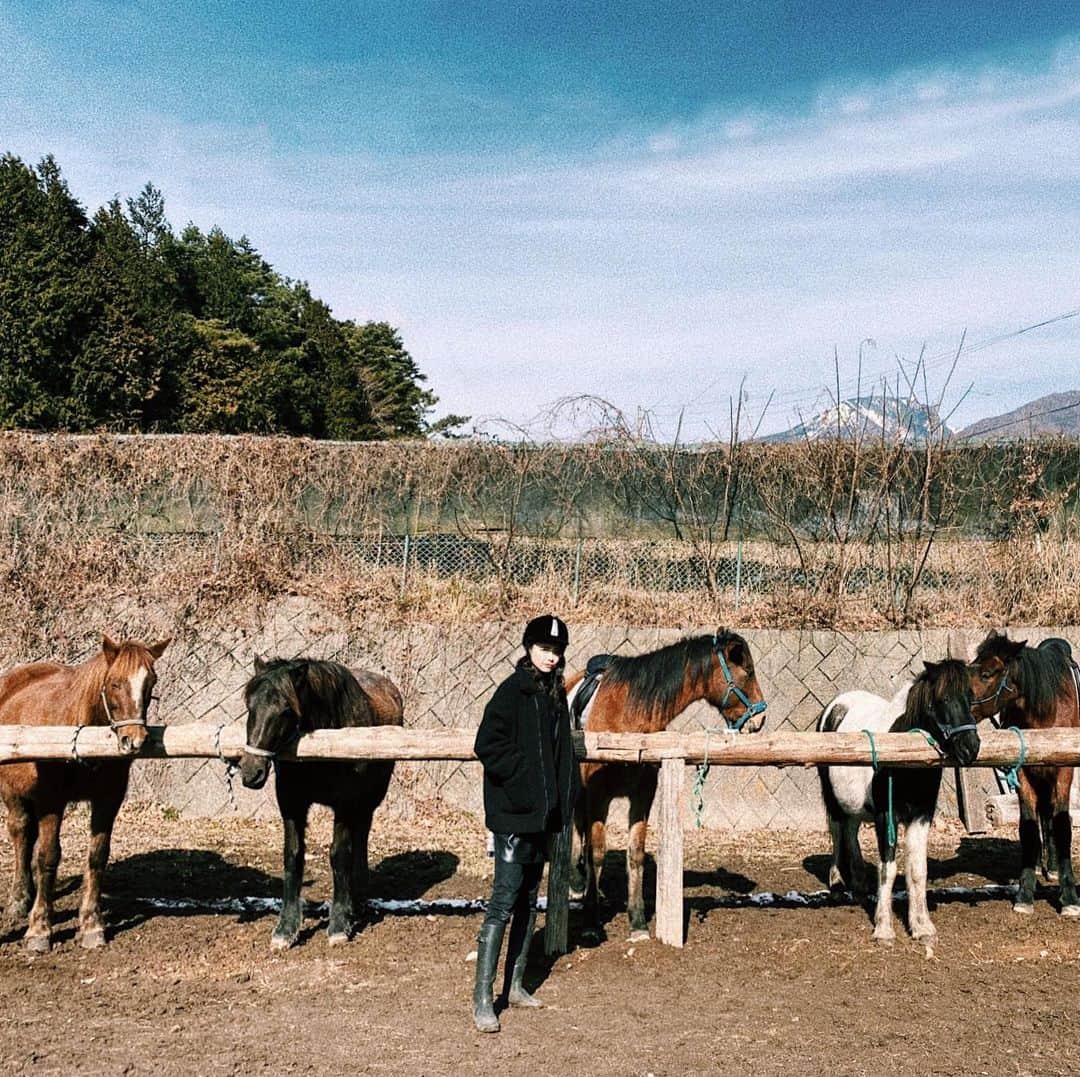 武藤千春さんのインスタグラム写真 - (武藤千春Instagram)「Horse trekking🐎 大自然の中、馬の背中に乗ってお散歩。 初めてでドキドキでしたが 心穏やかな馬と山の景色を楽しみながら ゆったり流れる時間、癒されました🌿 #horsetrekking」1月17日 18時46分 - iamchiharumuto