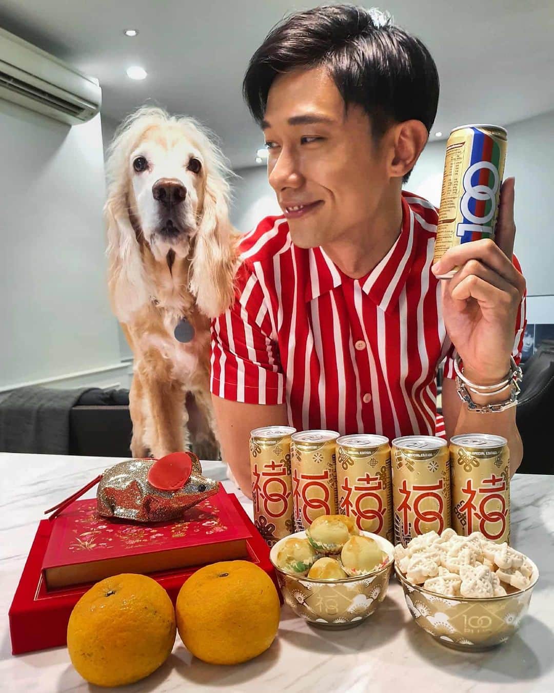 デスモンド・タンのインスタグラム：「First Chinese New Year of the decade! I'm already excited about it. Are you? Well, I know Hoshi definitely is. He loves it when my loved ones visit! He's a great host (too friendly sometimes!) 🤣  I'm gearing up with these 100plus limited edition gold cans to keep my guests hydrated. Oh ya, you stand a chance to win the gold bowl with $18 purchase of selected F&N products in supermarket.  @100plus_singapore #hydrate #CNY #hoshitan」