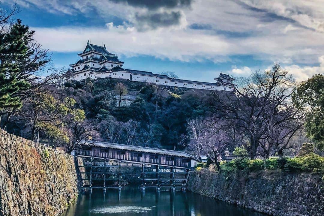 Visit Wakayamaさんのインスタグラム写真 - (Visit WakayamaInstagram)「. ⠀ #Wakayama Castle, originally built in 1585, is an iconic symbol of the city. Visit this majestic spot for unrivaled views of the area.⠀ 📸: @hiroshi.black_box」1月17日 19時00分 - visitwakayama