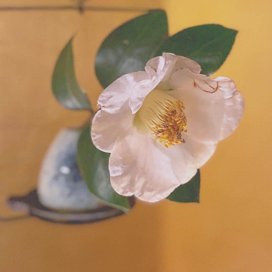 祥吉のグルメインスタ