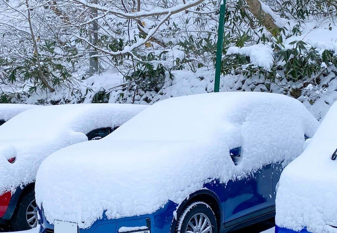 日産自動車さんのインスタグラム写真 - (日産自動車Instagram)「【雪対策】雪国で朝起きたらこんもり積もっていました！﻿ 暖房を入れてスノーブラシで雪を下ろしたのですが、雪の下にはガラスに張った氷や霜が。。。﻿ ﻿ 暖房だけでなくデフロスター、リアデフォッガーをONにしてから雪かきを始めると、ガラスについた氷や霜が溶けやすくなります！﻿ ﻿ ＊車内の暖房を入れながら除雪する場合には先にマフラー周りの雪かきをしてからエンジンをかけてください。﻿ ﻿ みなさまの日ごろ行っている雪対策の豆知識がありましたら、ぜひコメントで教えてください♪﻿ ﻿ #日産 #nissan #ニッサン #nissanjapan #🚗 #5523」1月17日 19時15分 - nissanjapan