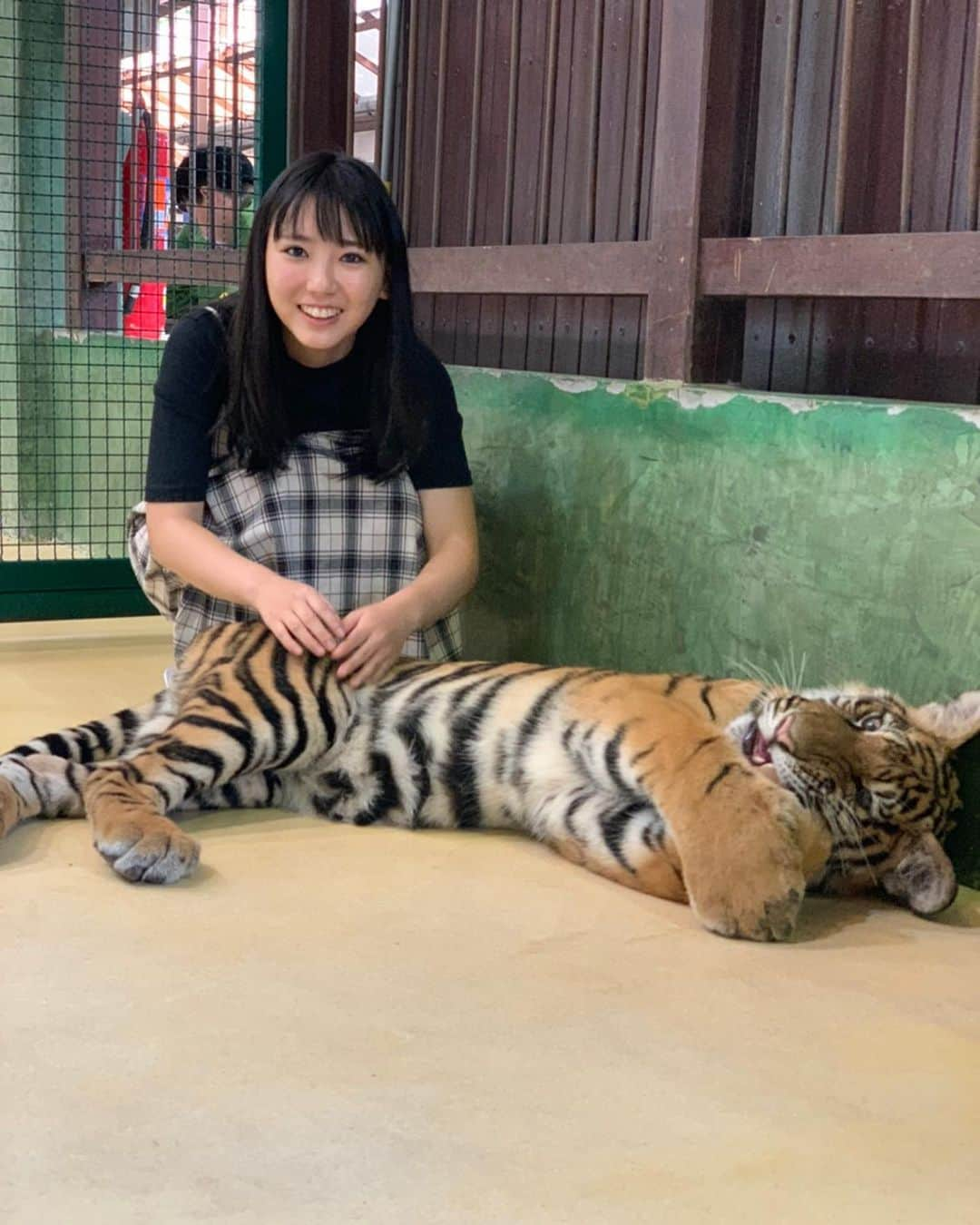 沢口愛華さんのインスタグラム写真 - (沢口愛華Instagram)「トラさんと仲良くなってきました。 よしおくん。と日本に帰ってきました。」1月17日 19時29分 - sawaguchi_aika_official