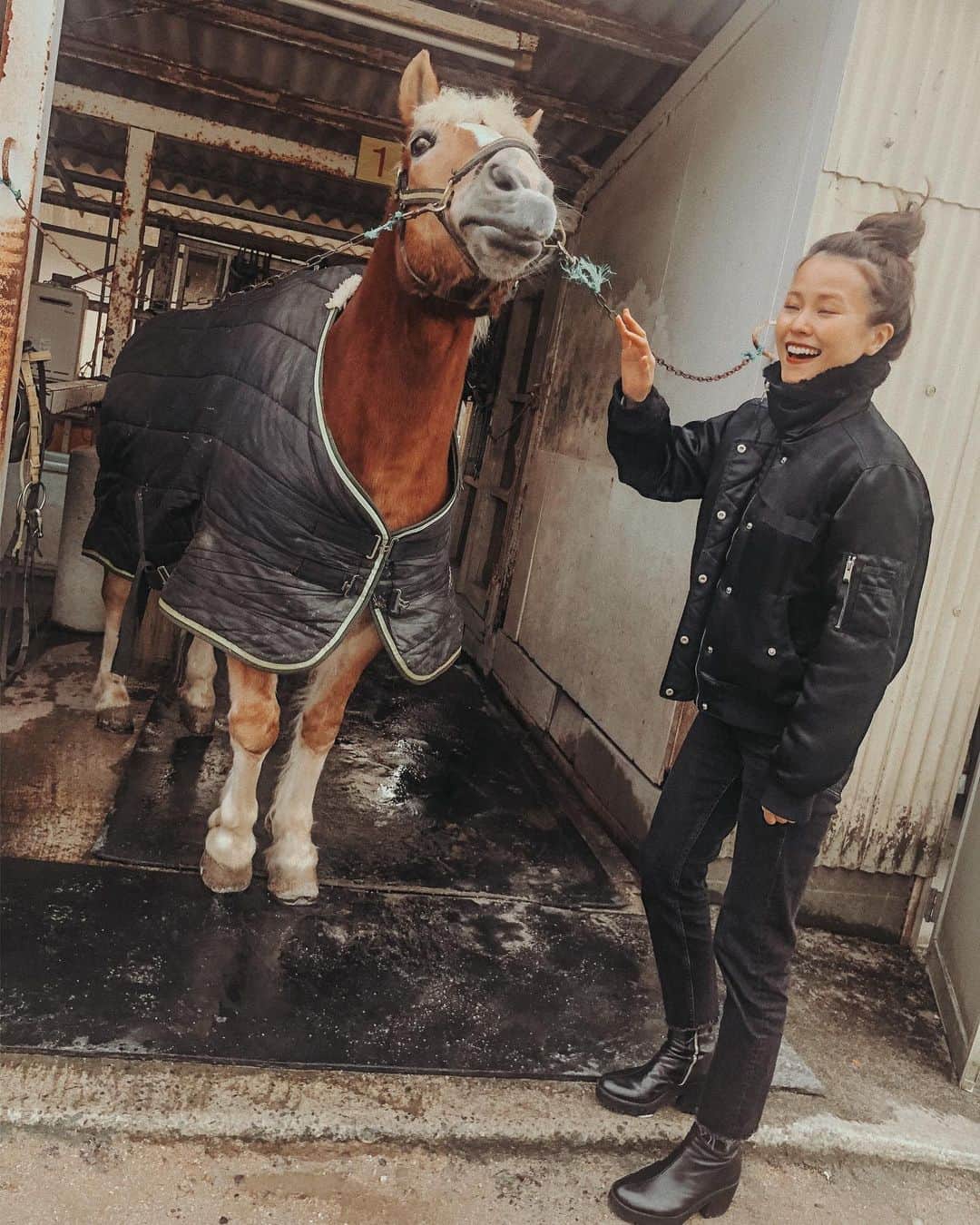 MiracleVellMagicのインスタグラム：「one of my favorite moments in life: spending time with animals🐴💕 鳥取県米子市の祖父母宅にて、少し遅めのお正月休みを過ごしているベルです☺️ 今年も大山乗馬センターへ。 おうまちゃんかわいんでちねぇ🥴あー幸せ幸せ🌸 . . . #大山 #大山乗馬センター #鳥取 #米子 #tottori #yonago」