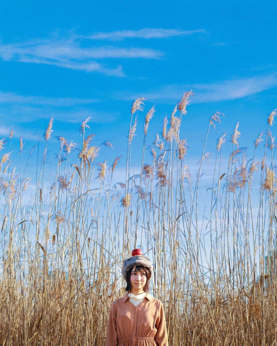 hiderin777のインスタグラム：「🌿 よく晴れた日の冬の空 . . . #りんごがーる　🍎」