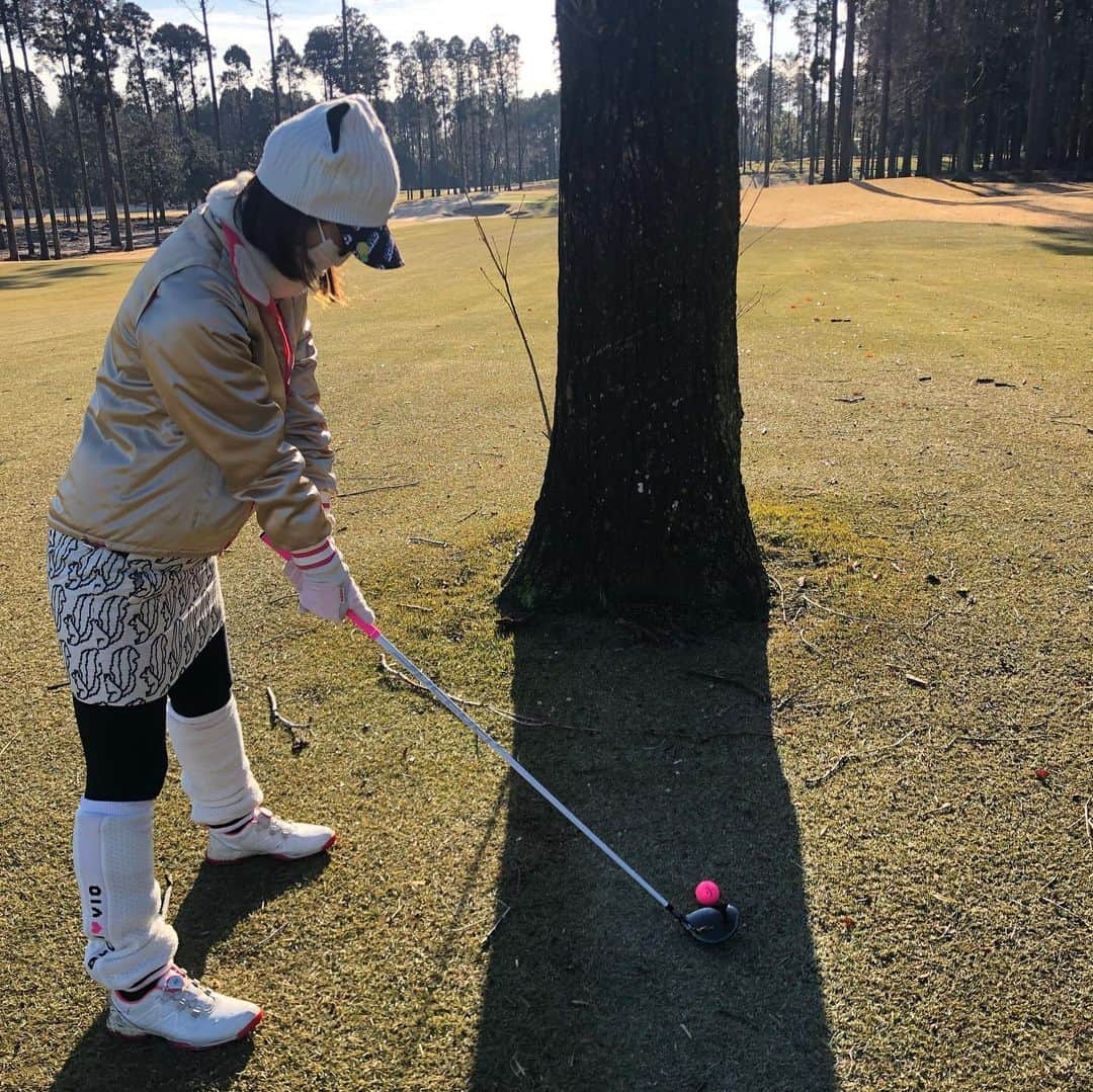 宮崎宣子さんのインスタグラム写真 - (宮崎宣子Instagram)「どう打つ❓ 1メートル前に大きな…🌳 1ホール目の1打目がここへ… そして、ナイスショットはとっても嬉しいのです😆  #golfclubs ...#callawaygolf  #golfwear ...#archivio #sunglasses...#eyevol」1月17日 22時31分 - miyazaki_nobuko