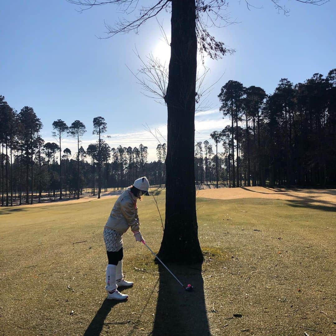宮崎宣子さんのインスタグラム写真 - (宮崎宣子Instagram)「どう打つ❓ 1メートル前に大きな…🌳 1ホール目の1打目がここへ… そして、ナイスショットはとっても嬉しいのです😆  #golfclubs ...#callawaygolf  #golfwear ...#archivio #sunglasses...#eyevol」1月17日 22時31分 - miyazaki_nobuko