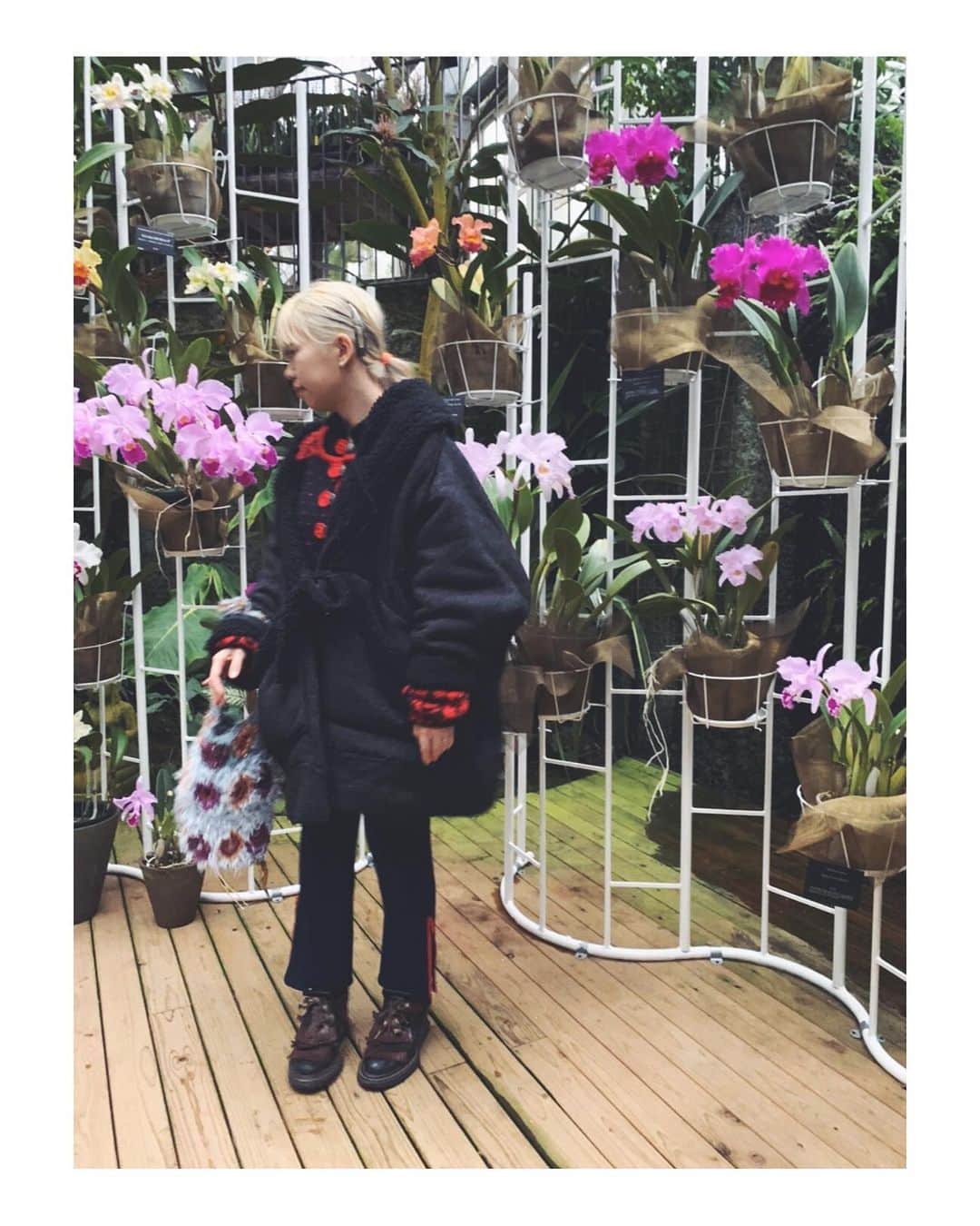 蓮沼千紘さんのインスタグラム写真 - (蓮沼千紘Instagram)「なんの因果か今年2度目の牧野先生。 今年の頭に淡路島の#夢舞台 は #百段苑 で初めて触れた牧野先生。 この人の写真見たことあると言う記憶は友人の山ちゃんのアイコン写真だったわけで山ちゃんが日本のほとんどの植物の名前をこの人がつけた、日本を代表する植物学者だよと教えてくれました。 ほほーうとおもっていた矢先、高知でおすすめスポット聞いたら#牧野植物園 ！！牧野？あれ、もしや植物で牧野とくればあの牧野ですか？となりそーだったー。 #高知 でも知られる変態牧野さん。 閉園1時間前にしか行けなくてもっとゆっくり見たかった、、、。すごい広大な敷地に植物への愛と牧野さんの人生が紡がれていた。ちゃんと一つ一つ辿りたかったなぁ。次は春か夏に行こうと誓う。 温室の外観はちょっと天気が悪かったのもあってまじでお化け屋敷だった。(ごめんなさい)一人で入るの怖いくらい。笑 入れば#ユートピア 。🌿🌴🌺. . #高知駅　の建築にそっくりと思えば同じ建築の方でした。#内藤廣 さん！ 鯨に飲み込まれた腹の中みたいな印象。 待ってくれ！渋谷の新しい#銀座線 も内藤さんじゃないっすか！！通りで誰か生き物の中身見たいって言ってたな。 牧野さんの歴史館といい建物全部素敵だったんだよ。 木の性質を使うのが得意な方なんですね。 百段苑は安藤忠雄さんでしたが牧野さんのある所凄腕の建築家アリって感じですね。  鯨は高知では食べ物として有名みたいですね。🐋. そういえば鯨のオブジェが街中にもちらほらあったな。  今回上手いことやすい飛行機を見つけられなかった私たちだったんだけど高知の人たちに安いの見つけられるサイト教えてもらったのでまた絶対高知に行きます♡改めて堪能したい☺️ . . 高知ありがとうございました！ 芋けんぴ買って帰ったどー。🍠」1月17日 22時45分 - knitchihiro