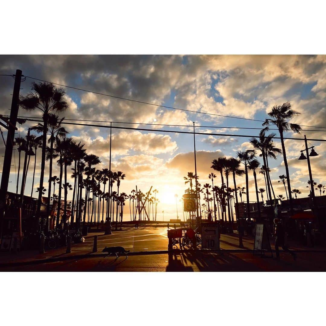 UZさんのインスタグラム写真 - (UZInstagram)「Good morning🌅  #venicebeachsunset」1月17日 23時45分 - uzspyair