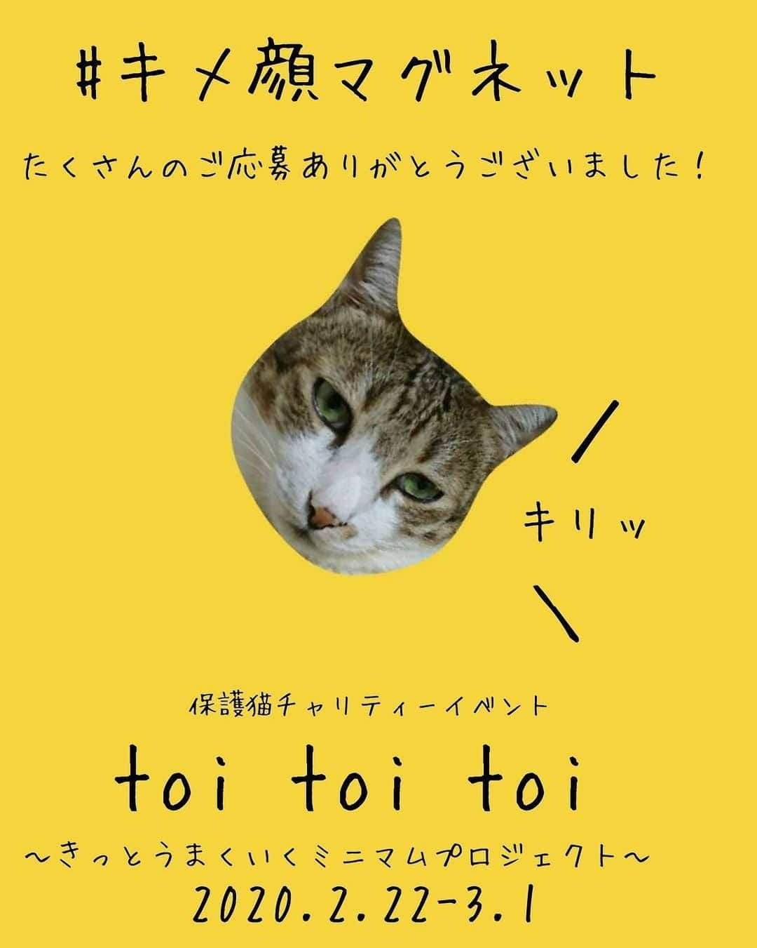 八、おこめさんのインスタグラム写真 - (八、おこめInstagram)「募集終了〜！！ かわいいキメ顔、かっこいいキメ顔、おもろ〜なキメ顔などなどたくさんのご応募ありがとうございました✨ 抽選は良いキメ顔が多すぎてなかなか決めれないと思うので…toiメン各々の推しのキメ顔を、殴り合いで決めたいと思います！(ウソ！w) でもみんな良いからマジで選ぶの困っちゃうw 結果は後日発表いたします✨ お楽しみに〜😸🐾 #キメ顔マグネット #toitoitoicat #toitoitoiきっとうまくいくミニマムプロジェクト #チャリティーイベント #伊丹市 #ねこ部 #cat #ねこ #猫 #ネコ」1月18日 0時05分 - naomiuno