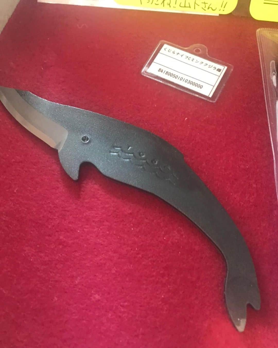キャシー中島さんのインスタグラム写真 - (キャシー中島Instagram)「* ルーシーに見送られて、 #勝野パパ と#合羽橋 に来ました。  最初に入ったのは刃物屋さん。 鯨の形の小さなナイフを買いました。 高知では#鯨包丁 って言うらしいですよ。  実は23日からのキルトフェスティバルの私の展示コーナーに飾る食品サンプルを買いに来たの。 本物に見える良いのは結構お高くてびっくり‼️ なので、少しだけ買いました🤏 でも合羽橋って面白い！ こんな大きなカブトムシもいるのよ！」1月18日 0時11分 - official_kathynakajima