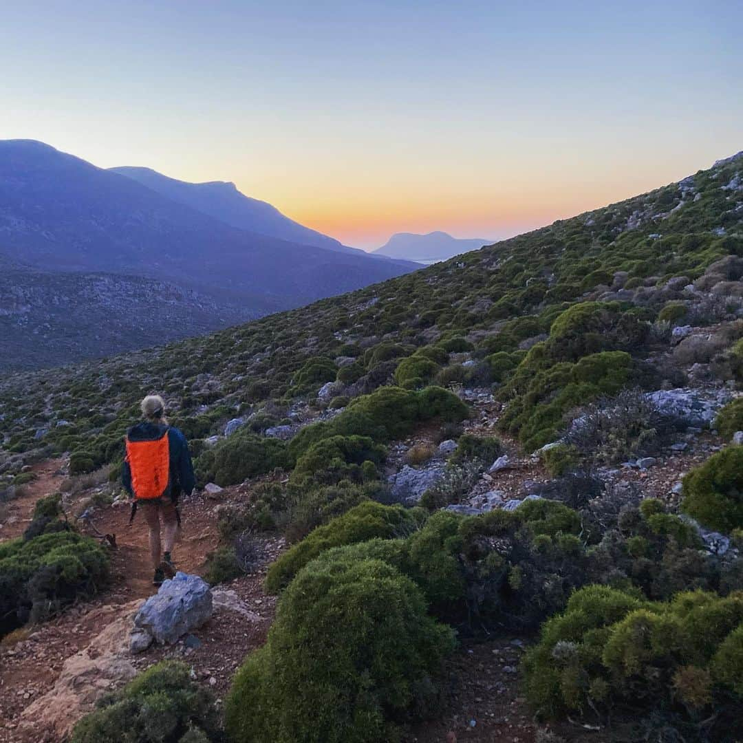 サッシャ・ディギーリアンさんのインスタグラム写真 - (サッシャ・ディギーリアンInstagram)「simplicity 🌱」1月18日 2時36分 - sashadigiulian