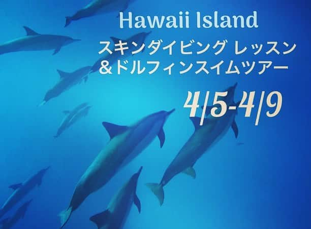 福田朋夏さんのインスタグラム写真 - (福田朋夏Instagram)「ハワイ島でスキンダイビングレッスン＆ドルフィンスイムツアーを4/5-4/9に行います。 前入りや、少し長く滞在したいとの問い合わせがたくさんありましたので、現地ツアーのみの価格も出ましたのでお知らせ致します🙌✨🐬 船に乗ってイルカや他の海の生物に会いに行ったり、ハワイ島の大自然をたくさん感じて頂けるツアーです🌋🏝🌺🌈 イルカ達と潜る前に、スキンダイビング のレッスンもしますので、安心してイルカ達と遊んで頂けると思います🐬✨ お問い合わせ、お申し込みはこちらまでお願い致します💁‍♀️💗 ↓ 現地ツアー代金¥180.000 ダイビングショップトゥルーノース Info@truenorth.jp 047-304-8915」1月18日 15時16分 - tomoka_fukuda