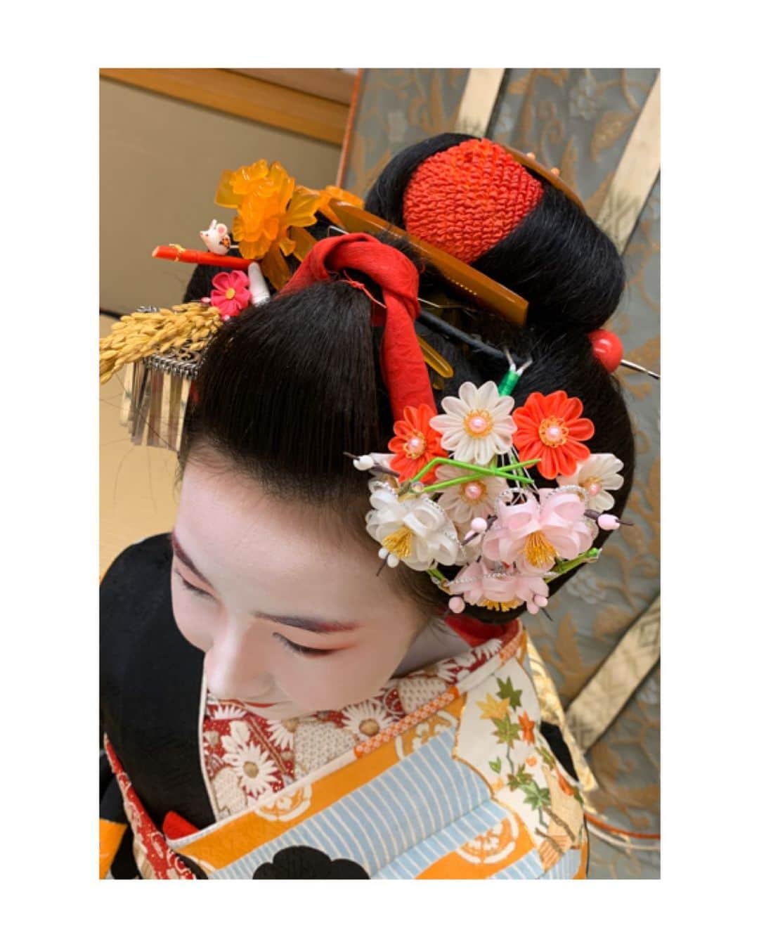 川村亜紀さんのインスタグラム写真 - (川村亜紀Instagram)「今月の君萌ちゃん。 お正月の黒紋付の時には稲穂の簪と干支挿しを付けています🐭小さなネズミちゃんが可愛いですよね。 上から見ると簪の様子も黒紋付の衿合わせも華やかで素敵です。  #お着物 や #花街 #歌舞伎 など #日本の伝統 が長く守られ受け継がれますように。 #kyoto #hanamachi  #miyagawacho #miyagawachomaiko #kimimoe  #京都 #京都花街 #宮川町 #宮川町舞妓 #舞妓 #舞妓さん  #季節の簪 #簪 #稲穂の簪 #干支挿し  #君萌 #君萌ちゃん #今月の君萌ちゃん #萌ちゃん今日も可愛い  #萌ですよろしくお願いします」1月18日 15時34分 - _aki1015_
