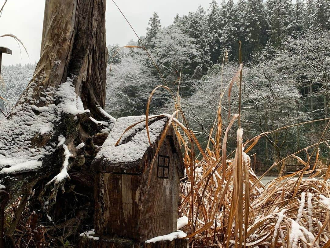 杉山宗賢さんのインスタグラム写真 - (杉山宗賢Instagram)「一面雪景色は春の設定の映画の撮影中です ・ 雪景色は本当に綺麗なんだけど 今日に限っては晴れてほしかった ・ ・ #撮影 #撮影中 #冬 #winter #雪 #雪景色 #snow #風景 #役者 #俳優 #actor #あきる野 #小宮ふるさと自然体験学校 #山 #mountain #寒い #現場 #shooting」1月18日 16時03分 - soken.sugiyama