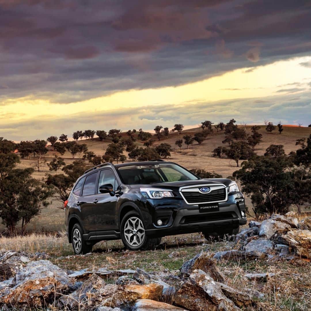 Subaru Australiaさんのインスタグラム写真 - (Subaru AustraliaInstagram)「The Subaru Forester comes with a free craving for adventure. Take your family and friends on a camping trip they'll never forget. . #Adventure #Subaru #OneLittleMoment #SUV #Camping」1月18日 8時00分 - subaruaustralia