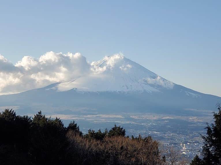 のインスタグラム：「Campus Seasonal Photos January ① 丹木の歳時記　睦月一 ⑴ 富士山・Mt. Fuji ⑵ 本部棟・Central Tower ⑶ 中央教育棟・Global Square ⑷ 文系Ａ棟・A Building ⑸ 中央図書館・Central library  ⑹ 新世紀橋・New Century Bridge ⑺ 石蕗(ツワバキ・Tsuwabaki) ⑻ 椿(ツバキ・Tsubaki) ⑼ 梅(ウメ・Ume) ⑽ 大鷺(ダイサギ・Daisagi) #discoversoka #sodaigram #sokauniversity #hachioji #tokyo #japan #university #campus #students #global #january #winter #fourseasons #創価大学 #八王子 #東京 #キャンパス #大学 #1月 #睦月 #四季 #学生 #グローバル」