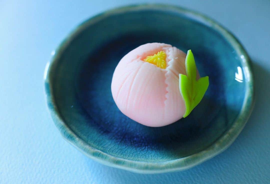 Toru Tsuchieのグルメインスタ