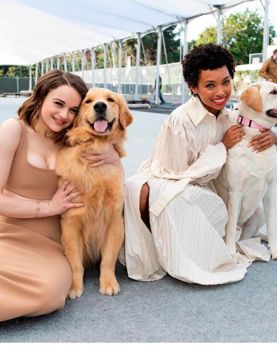 ジョーイ・キングさんのインスタグラム写真 - (ジョーイ・キングInstagram)「Had such a nice time this morning with my fellow sag ambassador @loganlaurice and some wonderful furry friends (and human friends too haha) rolling out the @sagawards silver carpet!!! Can’t wait for the ceremony on Sunday! Watch live at 5pm PST and 8pm EST on TNT & TBS」1月18日 8時43分 - joeyking