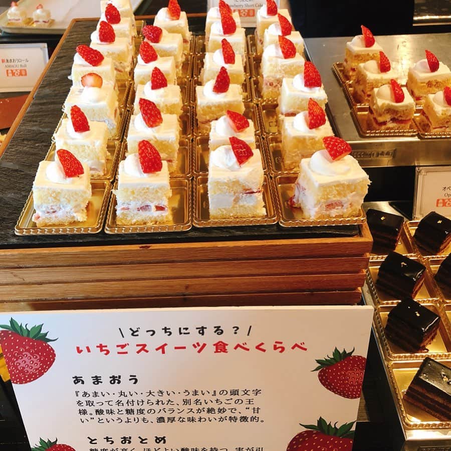 里井真由美さんのインスタグラム写真 - (里井真由美Instagram)「🍓🇫🇷🇯🇵 「あまおうソースで食べる♪抹茶フレンチトースト」 ・ ・ →2枚め) 断面 見てぇ〜♡ 抹茶色して、パン生地の気泡がポコポコしてるでしょ、ここに！あまおうソースとクリームがじゅわっと染みていくのがおいしいの〜❤️😭❤️ 🔻 🔻 実はこちら、ホテルニューオータニ東京6階 「ガーデンラウンジ」でコラボ開発させて頂いたメニューです😉✨ @hotelnewotanitokyo ・ ・ 3/31まで「あまおうスイーツ＆サンドウィッチビュッフェ」が開催されていて、 ・ ・ スイーツでは、何と！パティスリーSATSUKIのスイーツ「あまおうロール」や「あまおうジュレ」、 ・ ・ そして「旬のショートケーキ食べ比べ」もできますよ〜🍓🍓🍓 ・ ・ SATSUKIのショートケーキは、買うと1ピース1200円〜って考えると かなりお値打ちな企画です♡ ・ ・ ハッシュタグ「#あまオータニ」と、場所「@hotelnewotanitokyo 」を添えて あまおうスイーツの投稿をすれば、素敵なプレゼントがゲットできるチャンスもありまーす🍓✨✨✨ ・ ・ もちろん、サンドイッチやミニバーガー、から揚げなどお食事系も充実♡ ・ ・ あまおう→塩っぱい→あまおう→塩っぱい→あまおう→あまおう→🍓🍓🍓 90分間 魅惑のループをお楽しみくださいね☺️🍓 ・ ・ 今回はニューオータニさんと「食べあるキング」メンバー3人のコラボ企画で、「ガーデンラウンジ」ではモデルの田中里奈ちゃん @tanakaofficial の「飲むショートケーキ」もあります。(ビュッフェとは別料金) ←昨日の投稿見てね♡ ・ ・ ビュッフェは予約がおすすめです！ 11:30～14:30（土・日・祝は ～15:00）※90分制 ・ ・ 「ホテルニューオータニ東京」×「食べあるキング」コラボメニューは他にも2箇所あるので、また書きますね♡ ・ ・ #あまオータニ#あまおう#いちご#ホテルニューオータニ#ホテルニューオータニ東京#ニューオータニ#ニューオータニ東京#さといいね#食べあるキング #ホテルスイーツ#ホテル#ありが糖運動#まゆログ#フードジャーナリスト里井真由美#苺#飲むいちごショートケーキ」1月18日 9時14分 - mayumi.satoi