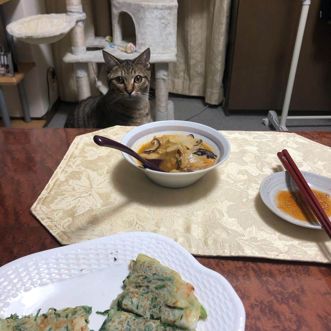 南沢奈央さんのインスタグラム写真 - (南沢奈央Instagram)「誰かと一緒にご飯を食べると、やっぱり美味しいですね。」1月18日 16時37分 - naominamisawa_official