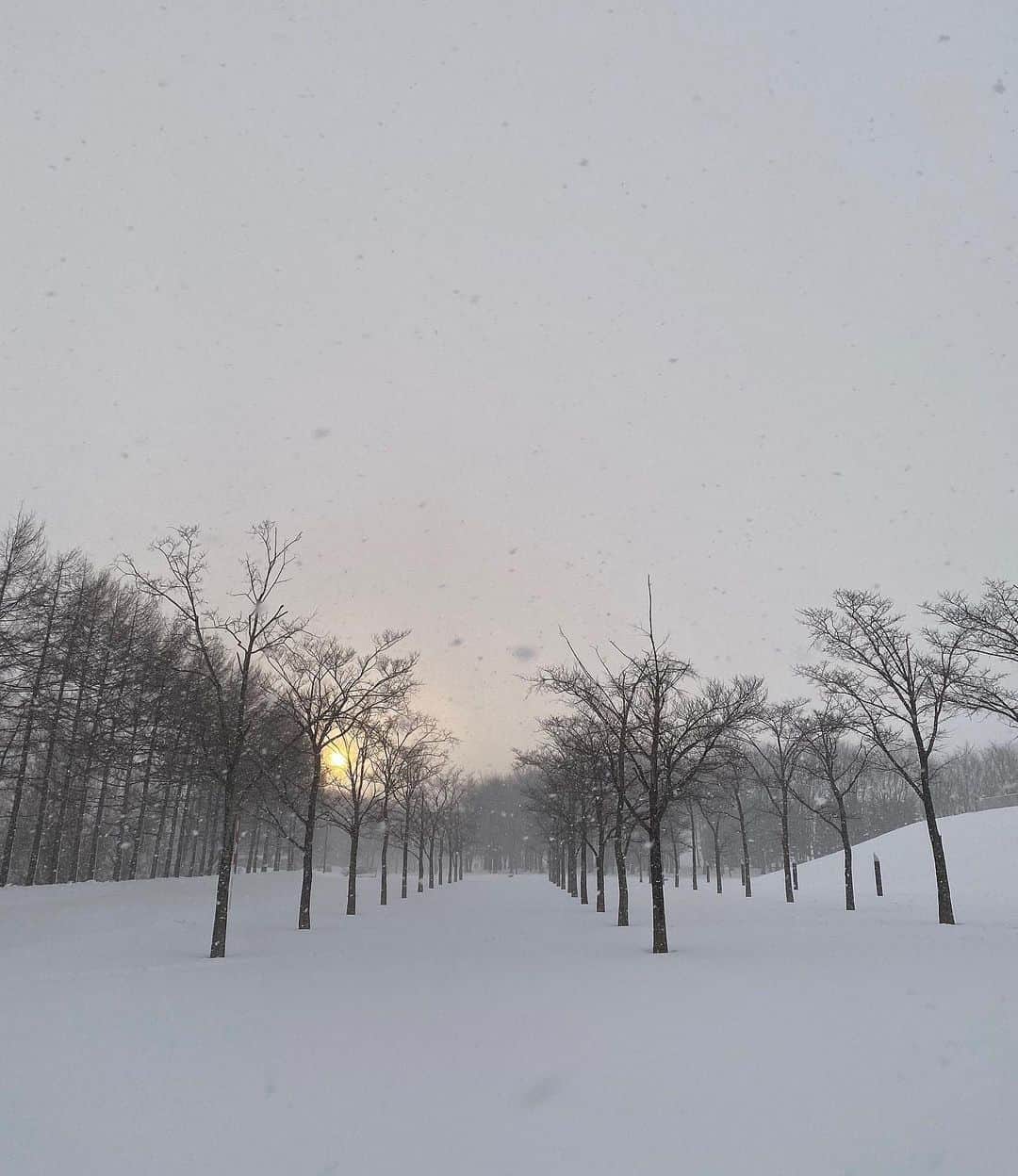 Icumi Oohamaさんのインスタグラム写真 - (Icumi OohamaInstagram)「❄️. . 扉を開いたら雪降ってた〜☺︎. . (写真は北海道で撮ったもの) . #snow #tokyo」1月18日 11時34分 - icumi___