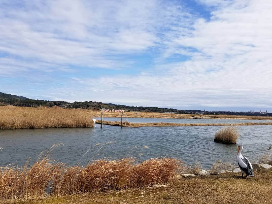 伊勢志摩エバーグレイズのグルメインスタ