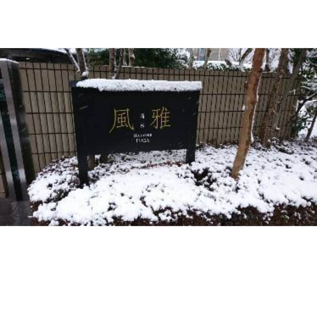 仙石原 別邸風雅【公式Instagram】のインスタグラム