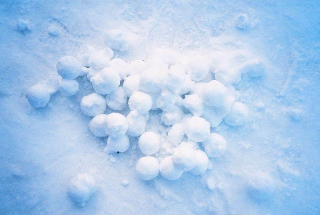 のインスタグラム：「雪つもるかなー。  #photobyaya #tokyo」
