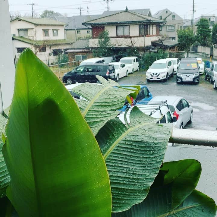 金村義明のインスタグラム