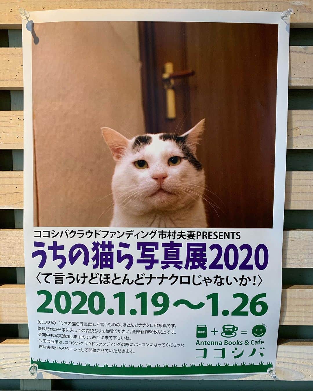 Kachimo Yoshimatsuのグルメインスタ