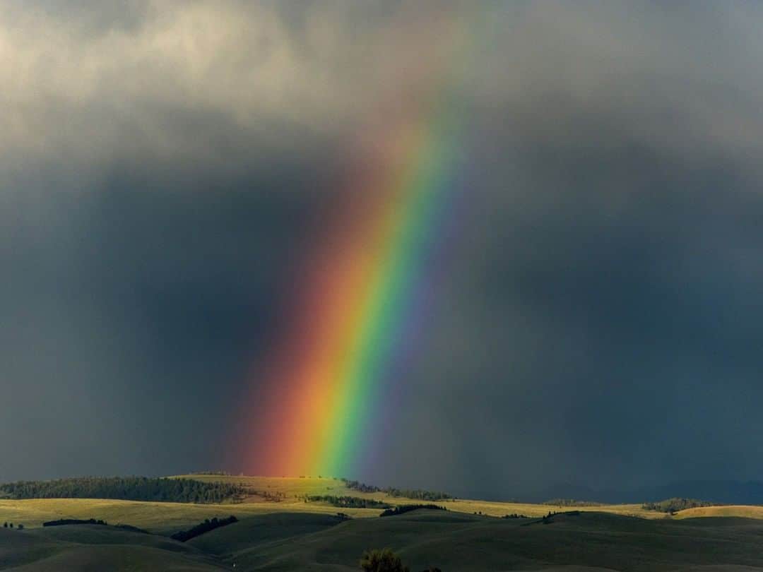 National Geographic Travelさんのインスタグラム写真 - (National Geographic TravelInstagram)「Photo by @amivitale | A rainbow bridges the skies and earth in the rolling hills of Montana. As a photographer, my intention is to tell stories about the natural world that remind us of how connected we are to one another and to all of life. I am also looking for places of hope, where there is an understanding and respect for nature that may be imperfect but gives us a way forward.  Follow @amivitale for more stories about the beauty and hope in the world. @natgeoimagecollection @thephotosociety @photography.for.good #montana #rainbow #beauty #sky #bigskycountry」1月18日 14時09分 - natgeotravel