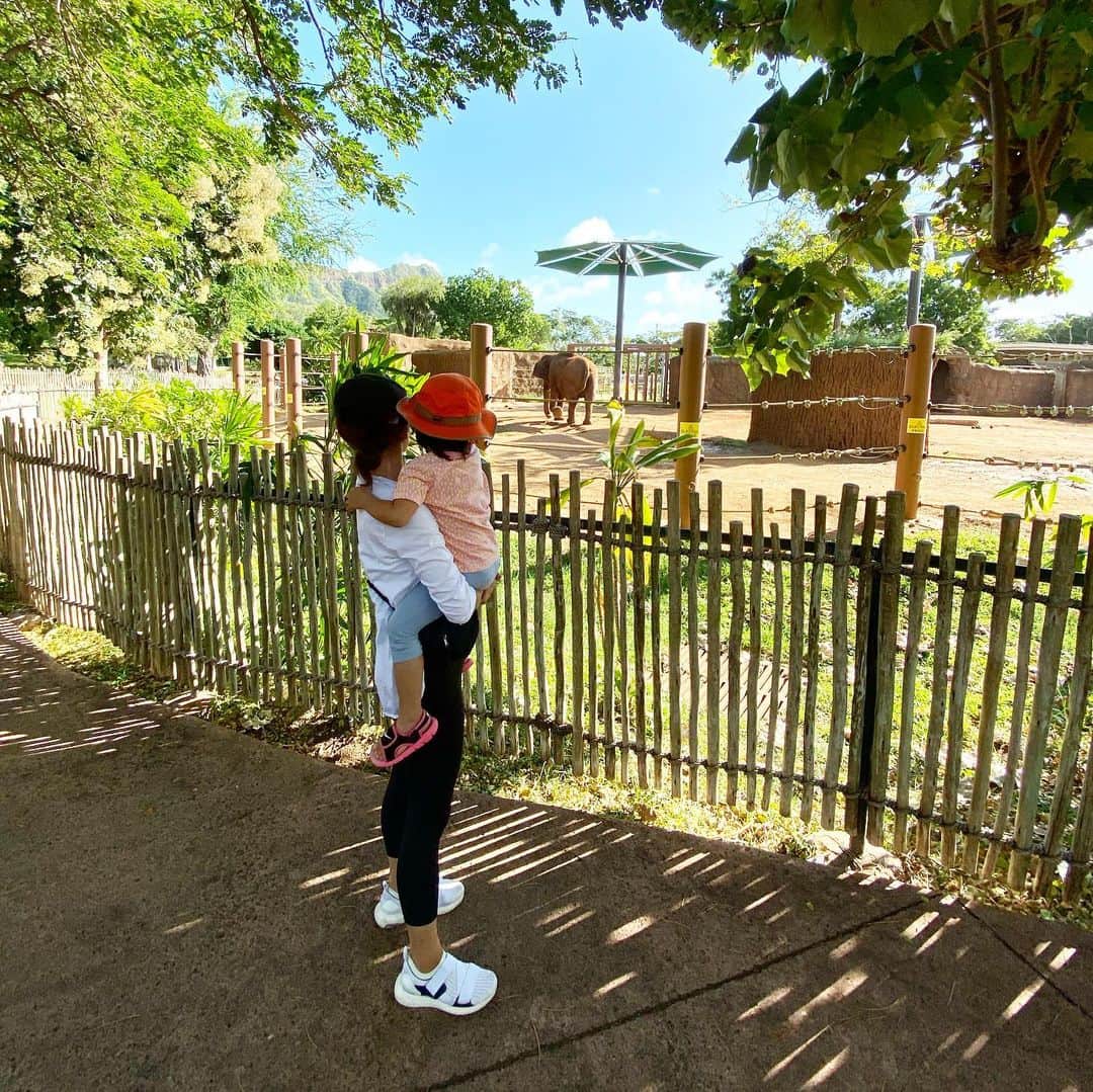 秋定麻紀子さんのインスタグラム写真 - (秋定麻紀子Instagram)「ひたすら歩いたけど行った意味ある？ってくらい動物が居なくて結局パークで遊んで帰ったzooの日（笑） キリン🦒さんは日本で見ようねって約束した日。」1月18日 14時27分 - makiakisada