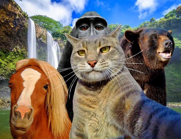 マニーのインスタグラム：「IG vs. Reality 😸」