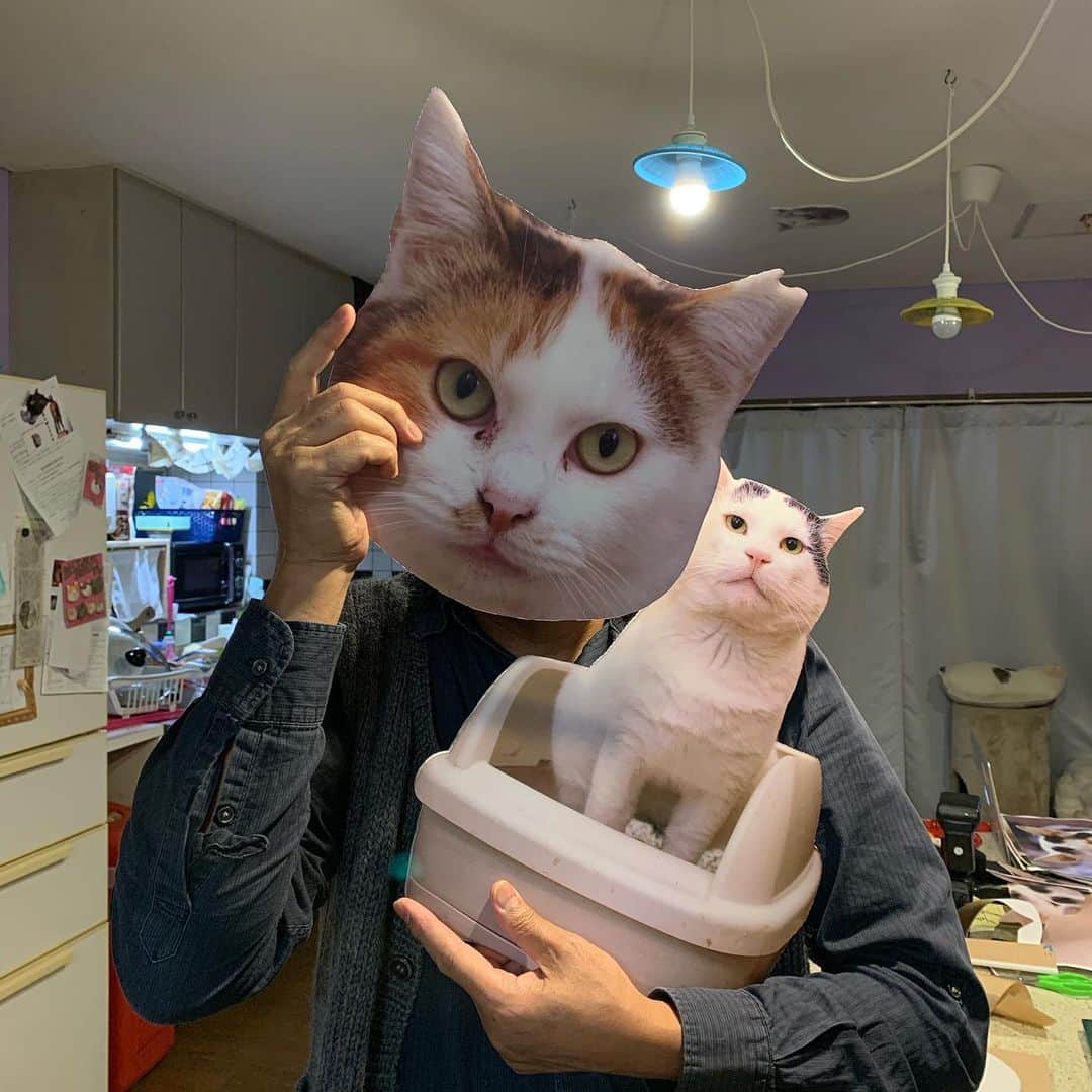 Kachimo Yoshimatsuのグルメインスタ