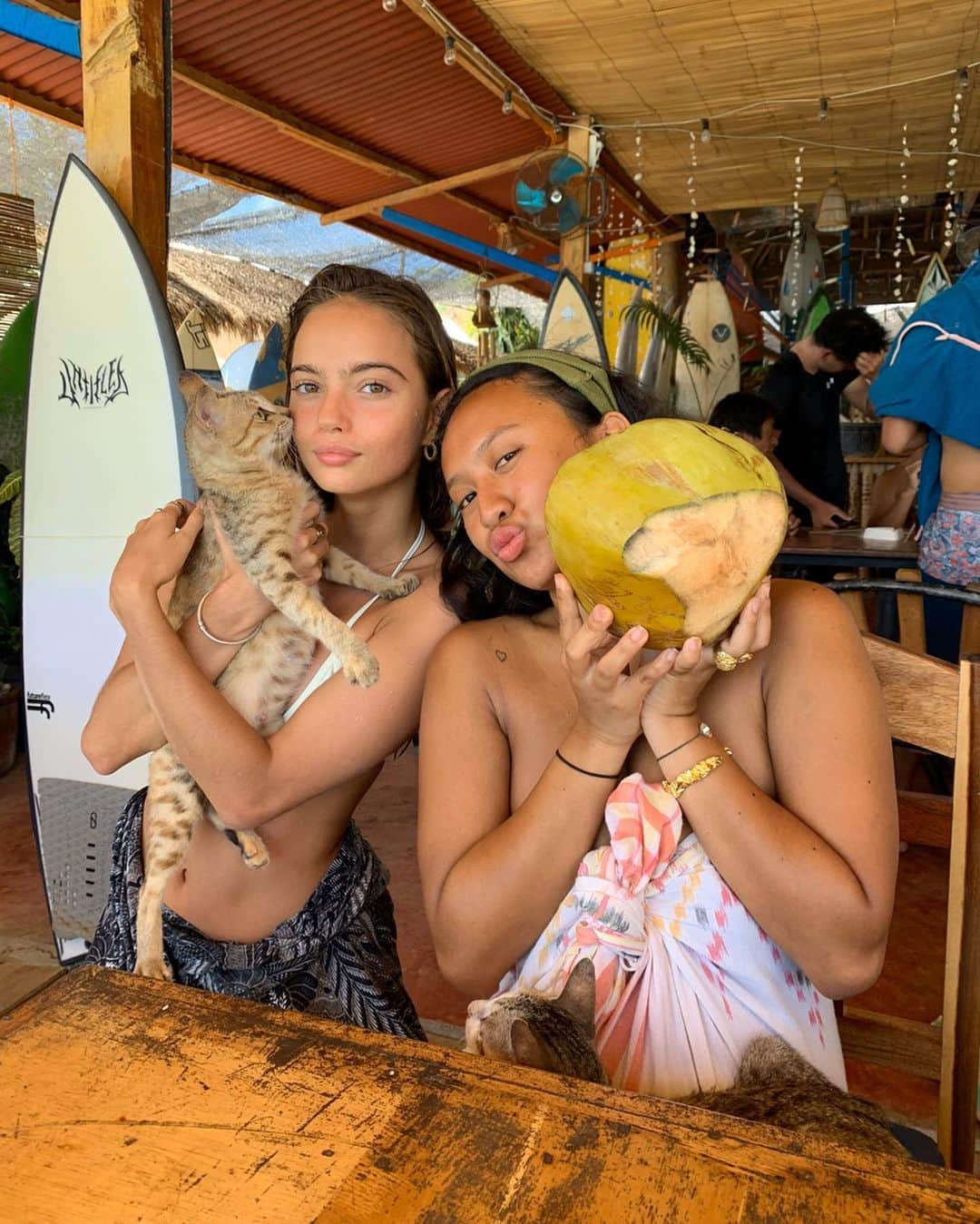Inka Williamsさんのインスタグラム写真 - (Inka WilliamsInstagram)「Girlfriends, beaches, coconuts, cats, sunsets, sunrises, sarongs, sunshine,swimsuits ,zinc, coconut oil, waves,local boats, blue waters, nasi campur, coffee..... & would trade it for nothing」1月19日 0時35分 - inkawilliams