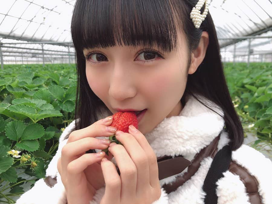 今村麻莉愛さんのインスタグラム写真 - (今村麻莉愛Instagram)「. 🍓♡*° ・ ・ #初めてのいちご狩り」1月18日 17時58分 - maria_0914_