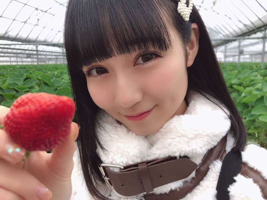 今村麻莉愛さんのインスタグラム写真 - (今村麻莉愛Instagram)「. 🍓♡*° ・ ・ #初めてのいちご狩り」1月18日 17時58分 - maria_0914_