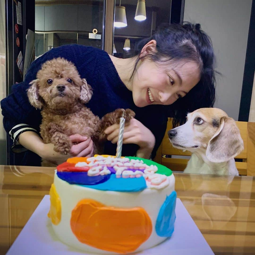 知英さんのインスタグラム写真 - (知英Instagram)「한국에서 가족들과 보내는 생일이 얼마 만인지... 생일 뭐 있나? 생각했는데 정말 뭐 있네요. 마음이 너무 따듯한 하루가 됐어요 ☺︎ ☺︎ 축하해주신 모든 분들 감사합니다.  홍순이 복실이도 건강하게 잘 지내고 있어요❤️🧡💛💚💙💜」1月18日 18時05分 - kkangjji_