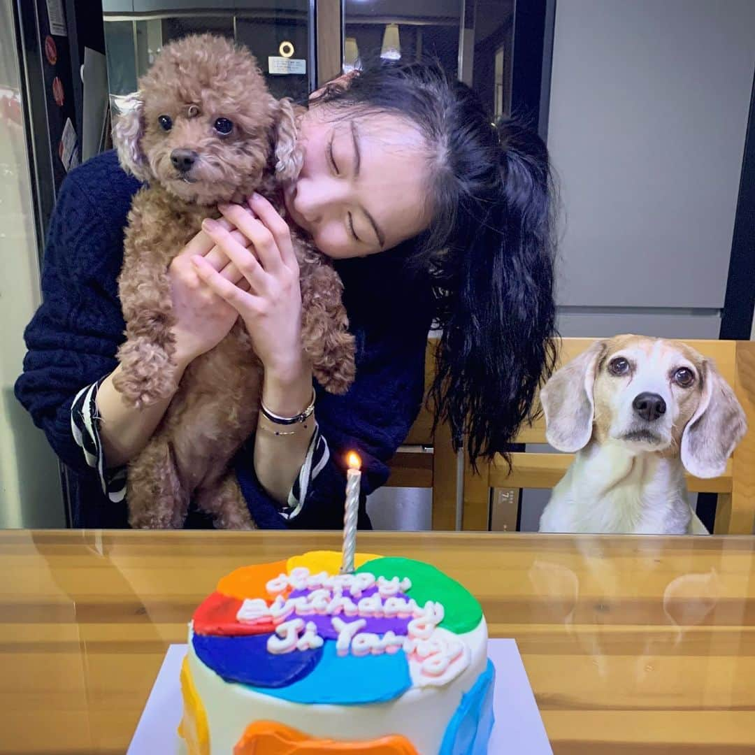 知英さんのインスタグラム写真 - (知英Instagram)「한국에서 가족들과 보내는 생일이 얼마 만인지... 생일 뭐 있나? 생각했는데 정말 뭐 있네요. 마음이 너무 따듯한 하루가 됐어요 ☺︎ ☺︎ 축하해주신 모든 분들 감사합니다.  홍순이 복실이도 건강하게 잘 지내고 있어요❤️🧡💛💚💙💜」1月18日 18時05分 - kkangjji_