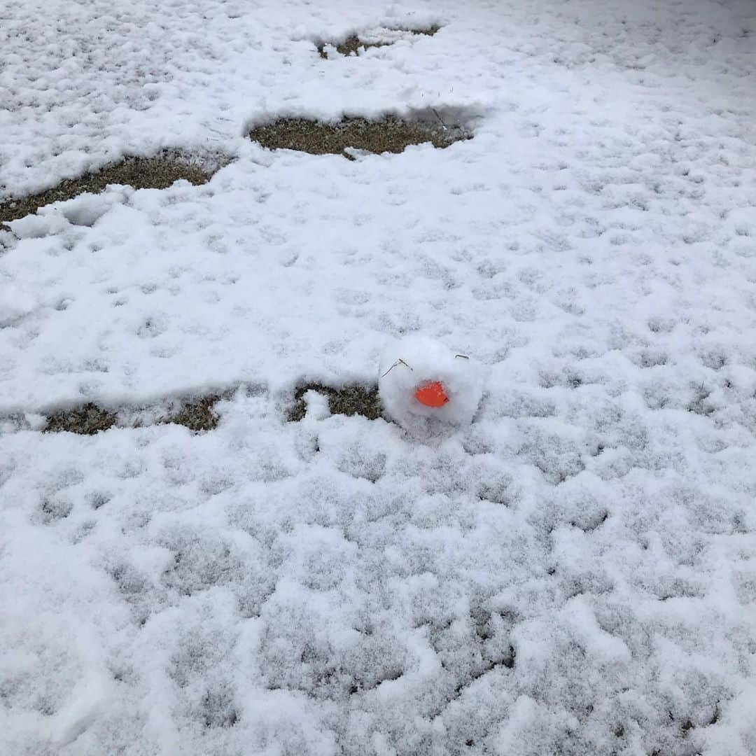 野牛あかねさんのインスタグラム写真 - (野牛あかねInstagram)「球がまるで目玉焼き🍳🤣 ボール全然見つからない‥  スコアそんなに悪くないという笑  ７番アイアンどこかに置き忘れる😂この雪の中探させてごめんなさい。無事見つかりました🙇‍♀️🙇‍♀️ #ゴルフ女子 #女子アナ」1月18日 18時25分 - yagyuakane