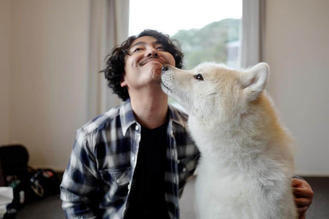 森岡龍さんのインスタグラム写真 - (森岡龍Instagram)「撮影で、秋田犬のハッチと再会。  相変わらず、とても可愛い奴でした。  photo by staffさん📸」1月18日 18時57分 - ryu_morioka