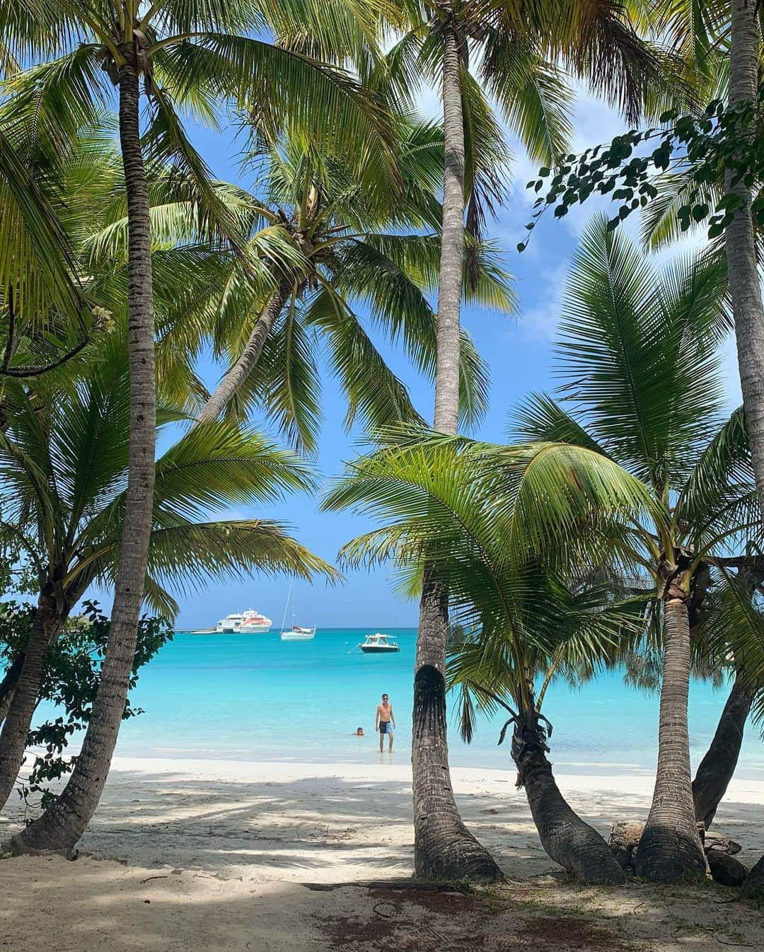 太田りゆさんのインスタグラム写真 - (太田りゆInstagram)「1月18日土曜日🏖🐠☀️ スーパーハードな合宿も 後半にさしかかり今日はオフでした🌴 そんな今日は優香ちゃんの26歳のお誕生日🎂🎊🎉イルデパン島でお祝いしました♡おめでとう🐢💜 素敵な1年にしようねぇ🦋🌺💛 #イルデパン島 #ヌメア #ニューカレドニア #筋肉 #筋肉女子 #腹筋女子 #newcaledonia #自転車競技 #日本代表  #cyclist #trackcyclist #dayoff #birthday #美尻 #太もも痩せ #太ももむきむき」1月18日 19時02分 - riyuponpon