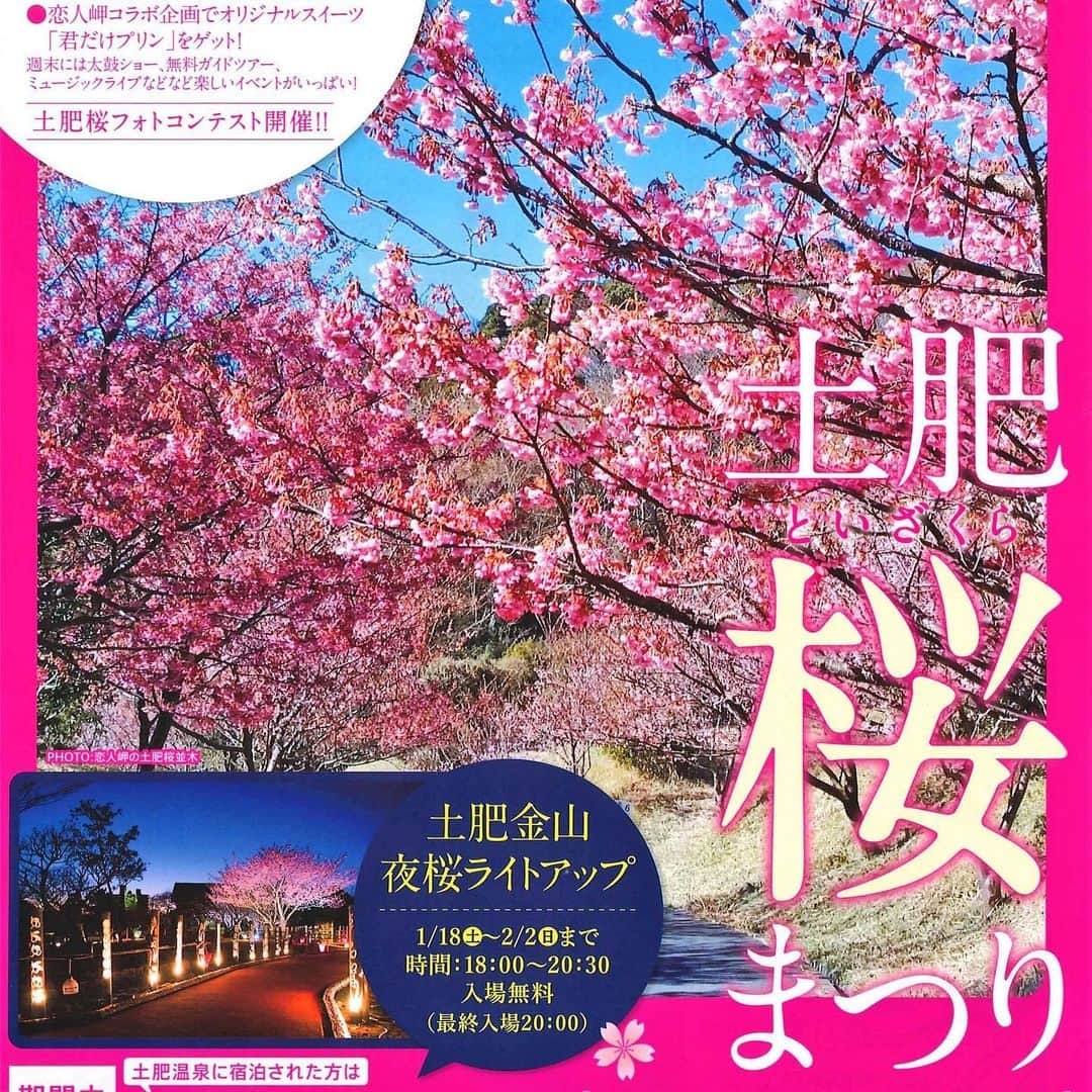 ～IRORIダイニング～ゆとりろ西伊豆のインスタグラム：「土肥桜まつり開催のお知らせ こんばんは。 〜IRORIダイニング〜ゆとりろ西伊豆です。 ご無沙汰の投稿で、土肥桜まつりのご案内です！  いよいよ明日から土肥桜まつりが開催されます😍 本日までの開花情報によりますと、五分咲きから見頃となっています♪ 松原公園芝生広場ではいろいろとイベントが開催されます！ ※駐車場は無料です。  フォトコンテストも開催されますので、写真がお好きな方はぜひ参加してみては？？ 詳しくはこちら↓ http://www.toi-annai.com/  当館の客室は露天風呂付も含めてまだまだ空室がございます。  桜を見た後は、温泉で冷えた体を温めて、美味しいご飯でエネルギーチャージしましょう♪  宿の詳細はこちら↓ https://asp.hotel-story.ne.jp/  #西伊豆　#土肥桜　#温泉旅行　#温泉デート」