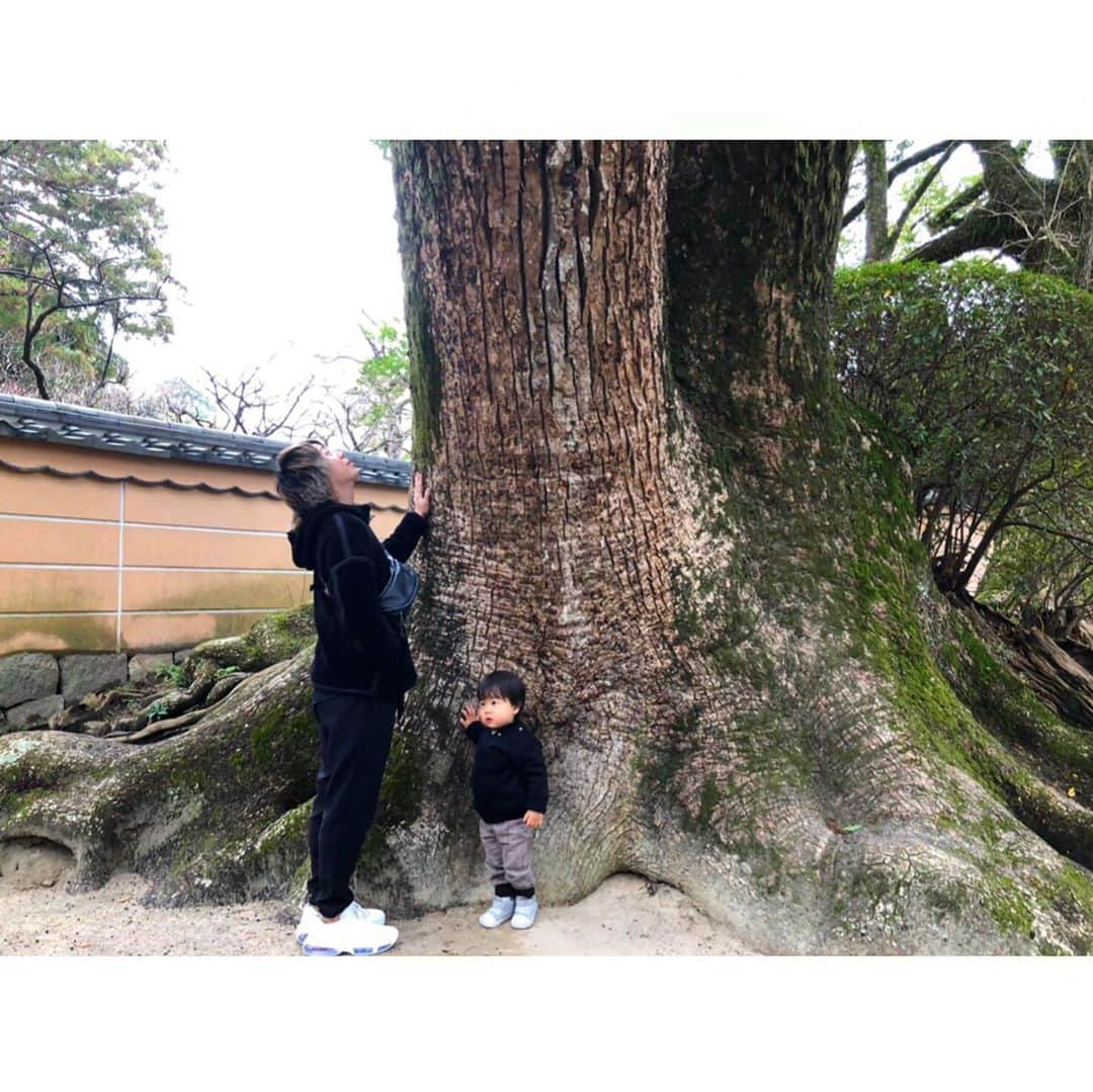 Tomoyaさんのインスタグラム写真 - (TomoyaInstagram)「Fukuoka day 2. 太宰府天満宮⛩  3枚目 @cazrowaoki 📸  #太宰府天満宮」1月18日 20時20分 - tomo_10969